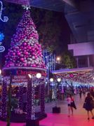 オーチャード・ロード、恒例クリスマス・ライトアップで花盛り