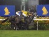 競馬「シンガポール航空国際カップ」開催へ－日本馬のエントリーはなし
