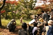 キヤノン、昭和記念公園で撮影会－プロ指導や一流モデル撮影も