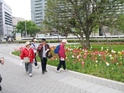 五日市街道などを歩く散策ウオーキング－立川観光協会が企画