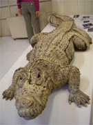 「みんなのいろ」テーマにオープンアトリエ展－立川・石田倉庫