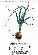 「葉画家」群馬直美さん、地元立川で野菜がテーマの作品展