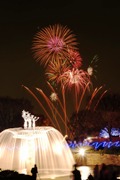 昭和記念公園に冬のイルミネーション点灯－恒例のシャンパンツリーも