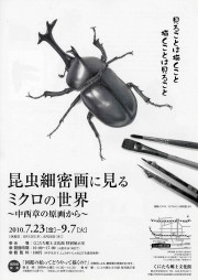 国立で昆虫細密画の原画展－サイエンスイラストレーター・中西章さん描く