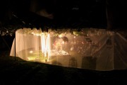 立川の樹木畑でコンサート「Art in Farm」－アート通じて農業の活性化目指す