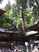 榛名神社「幽玄の杜音楽会」に650人－ご神水で手打ちそばも