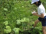 児童の写真展－高崎市美術館と市立小学校がコラボ企画
