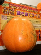 北海道産ジャンボかぼちゃの重さは？－けやきウォークでハロウィーンイベント
