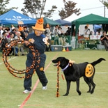 世界の名犬牧場で「犬の運動会」－人と一緒にいす取りゲームも