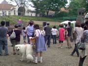 前橋・ドイツ村で泰葉さんライブ－ネタを織り交ぜ熱唱、200人聴き入る