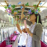 前橋・風鈴電車の「俳句と川柳」、応募総数700超に－200作品乗せ発車