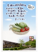 高崎で「片品村の朝採れ野菜」の産直販売－初日、300人が来場