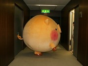 TONTONのまち前橋の「ころとん」が着ぐるみデビュー、ウエストは5メートル超