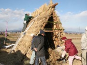 前橋に「竪穴式住居」出現－古代米の稲わらを使い再現