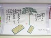 奇跡の一本松