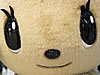 天神にHAPPYを フェレットが天神に出没！？
