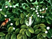 美術館の学芸員と植物園の「緑の解説員」がコラボトーク