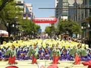 第46回 博多どんたく－今年のテーマは「復興どんたく60周年」
