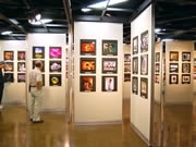 アクロス福岡で一般公募の写真展－354人の「視点」が一堂に