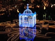 天神地区イルミ一斉点灯－ビヨンセさんの映像カウントダウンで