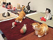 猫の日に合わせ「猫好き」作家の企画展－大名のギャラリーなど3会場で