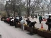 警固公園外周部花植え