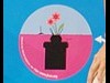 地雷除去支援団体ＰＯＭ2の慶応学生の皆さん