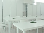 a.n.p cafe