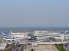 ANA羽田－三宅島線が運航再開1カ月－三宅島で記念植樹活動も