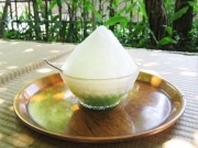 上野公園内の老舗甘味処、一足早く「氷甘味」を夏季限定販売へ