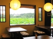江戸のお茶屋をイメージ－上野公園に「蓮見茶屋」、夏季営業開始