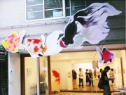 千駄木のギャラリーで「きんぎょ展」－空中を泳ぐ金魚が涼しさ運ぶ