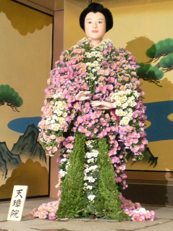 湯島天神で恒例「菊まつり」－二千本展示、見ごろは例年より早めに