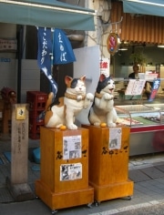 谷中銀座商店街に7匹の「木彫り猫」－屋根の上や豆腐店前などに出現