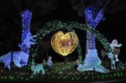 上野公園に動物イルミネーション－デートスポット化狙いハートも設置