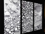 国立科学博物館で「深海探査と微化石」展－微化石を見る体験ブースも