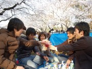 上野の桜「開花予想」クイズ始まる－今年はモバイルサイトから応募も
