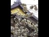 湯島天神で54回目の「梅まつり」－見ごろは20日ごろ