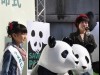 パンダ歓迎大使に大橋のぞみさん任命－パンダの新ゆるキャラも発表