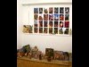 東上野で都築響一さん写真展－タイの地獄テーマパークの写真一堂に