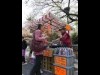 上野公園内売店の売り上げ、軒並み減少－パンダ効果も自粛響き