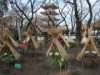 上野東照宮で「冬ボタン」イベント－開花遅れ2月中旬まで見頃に