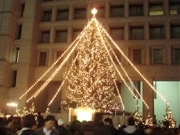 中之島一帯で光の祭典－「OSAKA光のルネサンス2007」始まる