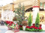 生花と自然木を使いクリスマスデコレーション－ディアモール大阪