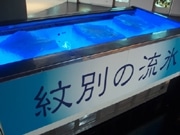 オホーツク海の流氷とクリオネ－梅田の空中庭園展望台で公開