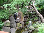新梅田シティに2,500匹のホタル放流－梅田生まれのホタルも