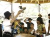 中之島公園周辺で「水都大阪」、今年も開催－サポーター募集