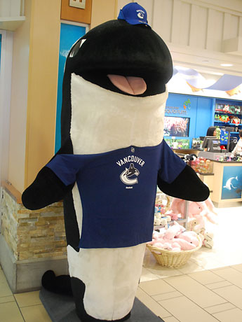 Go Canucks Go