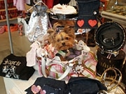 イエールタウンの犬専用ブティックが愛犬家に人気－日本製グッズも