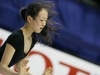 四大陸選手権